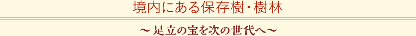 境内にある保存樹・樹林